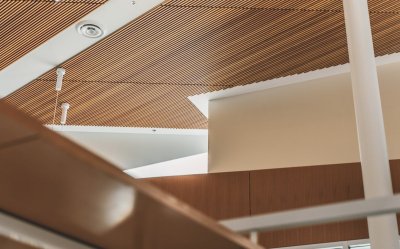 Ontwerpers noemen je plafond nu de vijfde muur