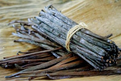 Rundvet uit Toulouse: we kregen een pot vanille-talgbalsem van FrenchTallow