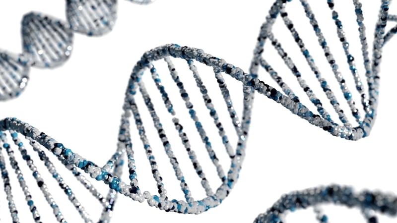 Het mannen-DNA dat na je zestigste begint te verdwijnen