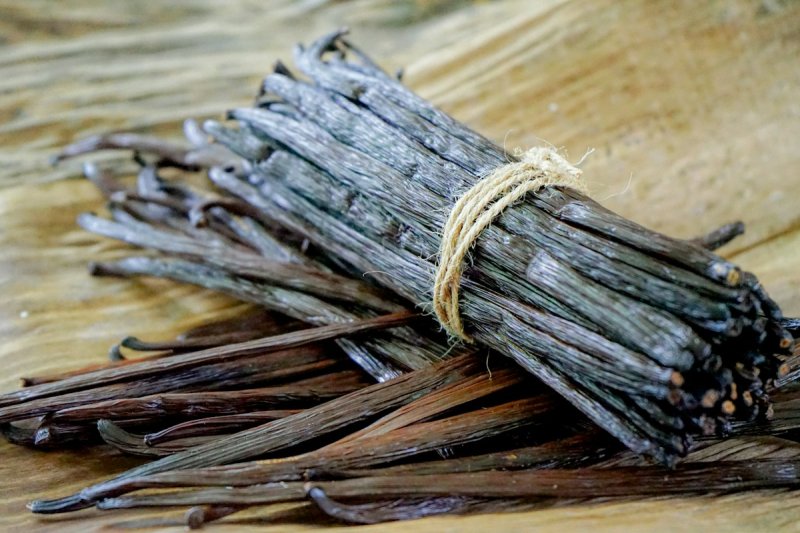 Rundvet uit Toulouse: we kregen een pot vanille-talgbalsem van FrenchTallow